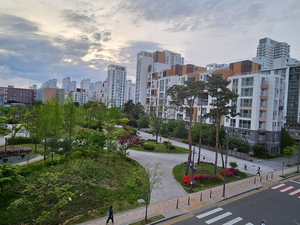 학원 창밖 다정동 공원 산책길